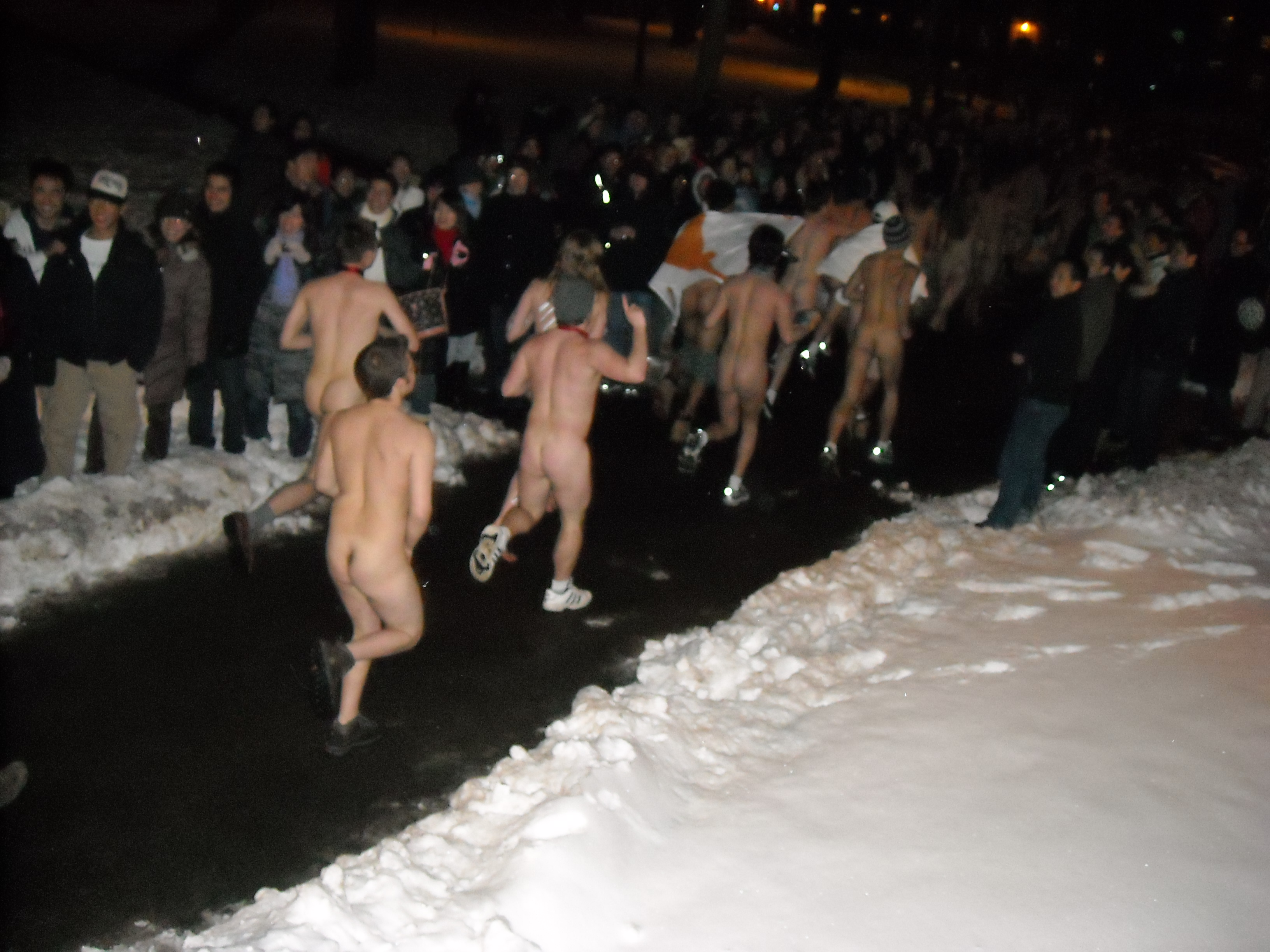 quot; Last night at midnight was the annual Harvard tradition called Primal ...